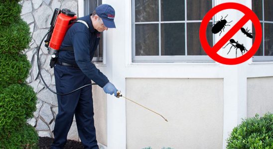 Torbalı Tahtakurusu İlaçlama böcek ilaçlama ve haşere kontrolü — ilaclama-tr.com